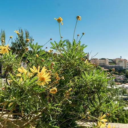 公寓 Stupendo Trilocale Posto Auto Gratuito - Wifi & Netflix 圣雷默